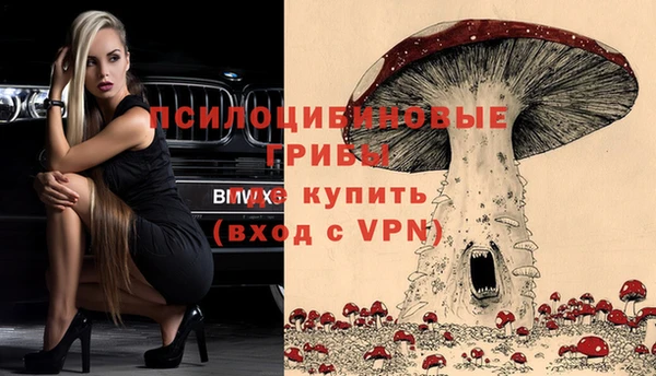 гашик Абаза
